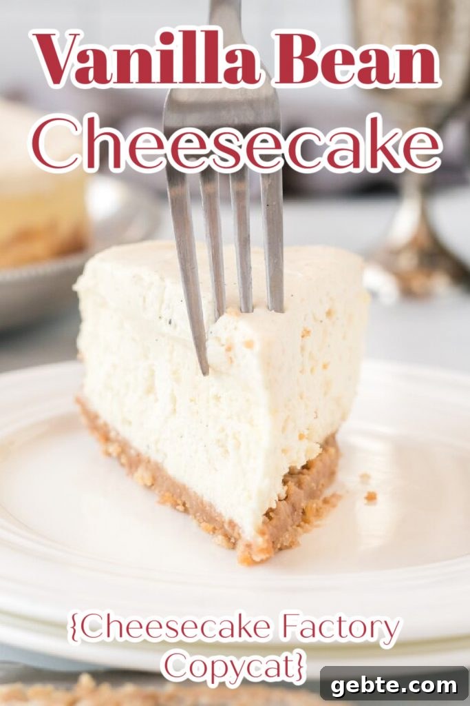 Vanilla Bean Cheesecake Recipe — Cheesecake Factory Copycat 10 Vanilla Bean Cheesecake full