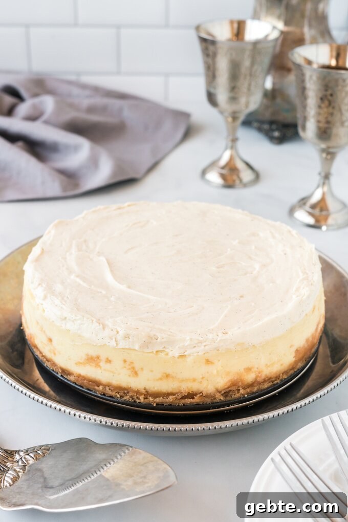 Vanilla Bean Cheesecake Recipe — Cheesecake Factory Copycat 5 Cheesecake slice with garnish