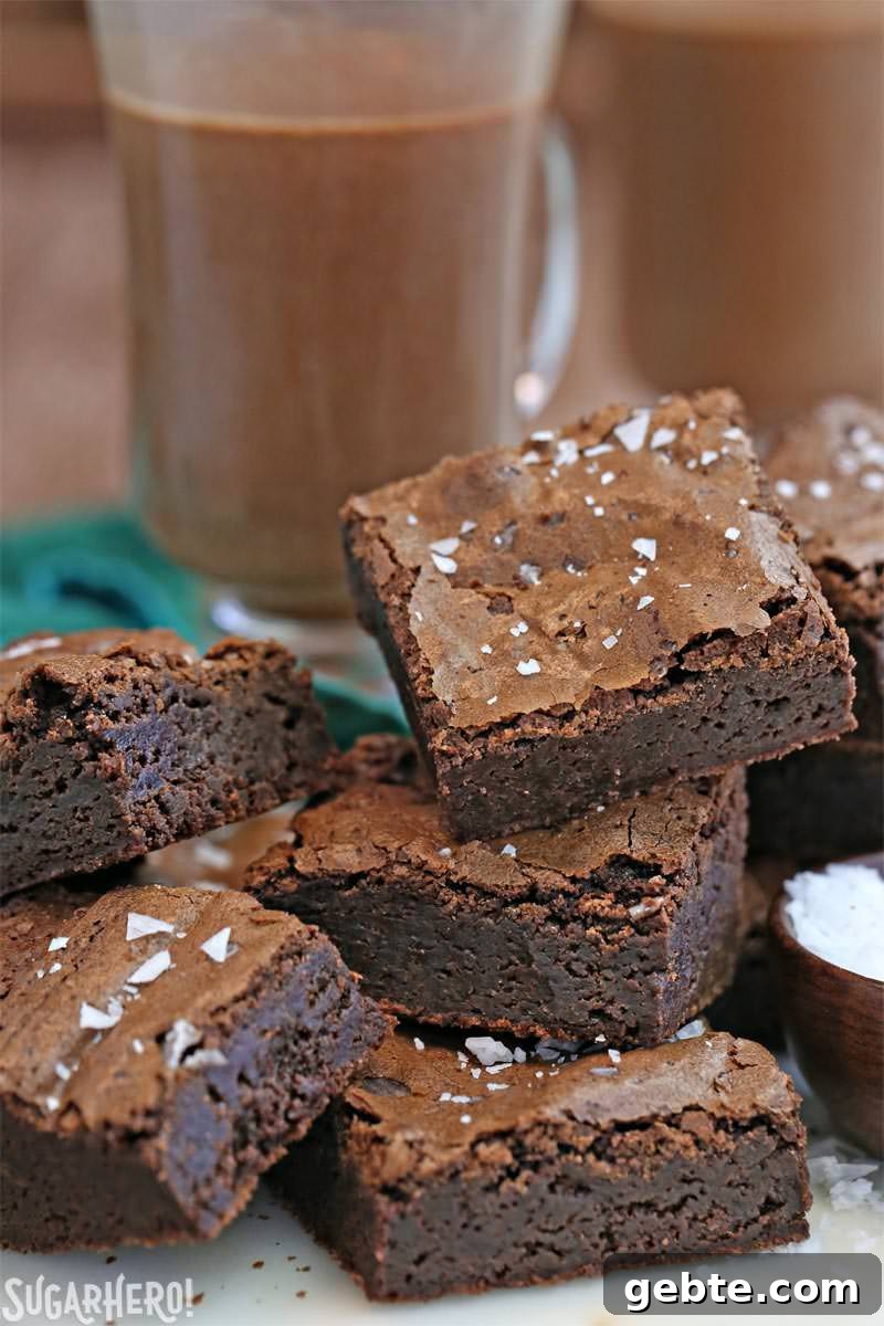 Salted Fudge Brownies - rich and fudgy brownies with big flakes of sea salt! Salted Fudge Brownies - rich and fudgy brownies with big flakes of sea salt!