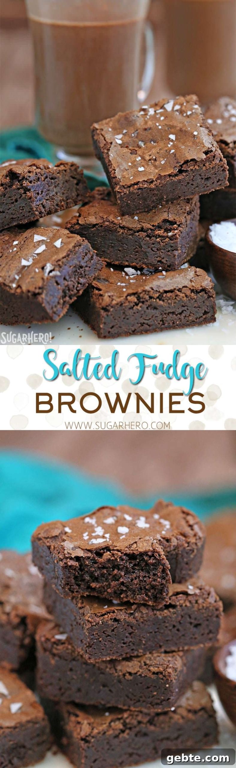 Salted Fudge Brownies - rich and fudgy brownies with big flakes of sea salt! Salted Fudge Brownies - rich and fudgy brownies with big flakes of sea salt!