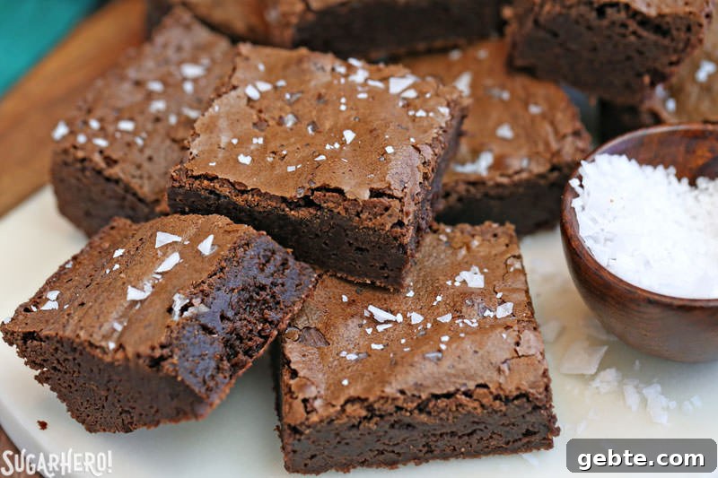 Salted Fudge Brownies Salted Fudge Brownies - rich and fudgy brownies with big flakes of sea salt!