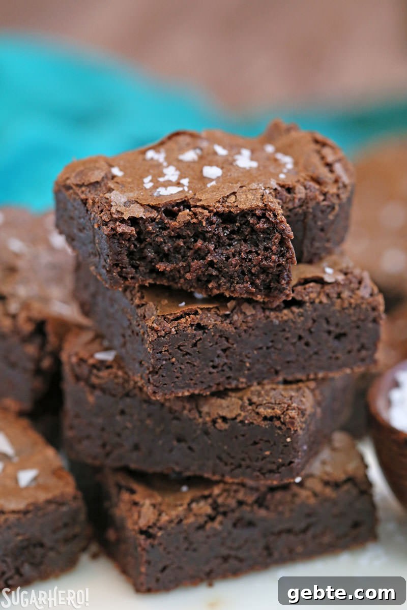 Salted Fudge Brownies Salted Fudge Brownies - rich and fudgy brownies with big flakes of sea salt!