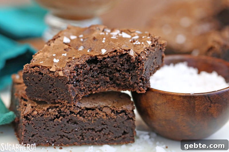 Salted Fudge Brownies Salted Fudge Brownies - rich and fudgy brownies with big flakes of sea salt!