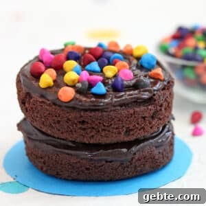 Sea Salt Fudge Brownies Recipe with Gooey Chocolate Center 3 Cosmic Brownie Mini Cakes