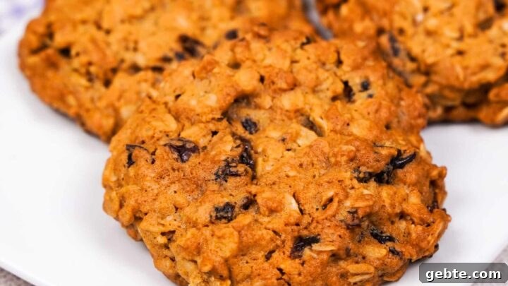 A close-up view of three chewy gluten-free oatmeal raisin cookies stacked on a white plate.