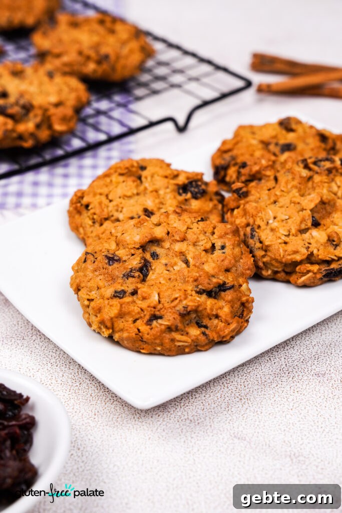Freshly baked gluten-free oatmeal raisin cookies rest on a white plate and nearby cooling rack. Cinnamon sticks and a bowl of raisins are in the frame.