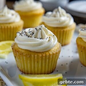 Frosted cupcakes on light blue serving platter with lemon slices as garnish.