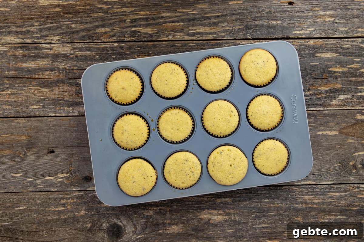 Baked cupcakes in muffin pan.