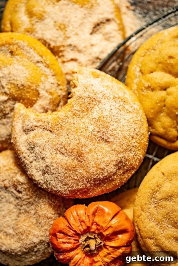 Crunchy Peppermint Chocolate Chip Cookies Recipe 15 img 30485 14
