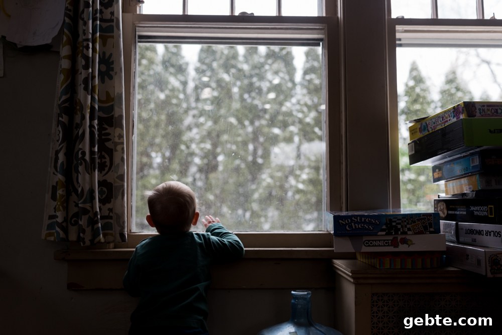 Documenting My Family: A Photo and Memory Guide 12 img 30706 11