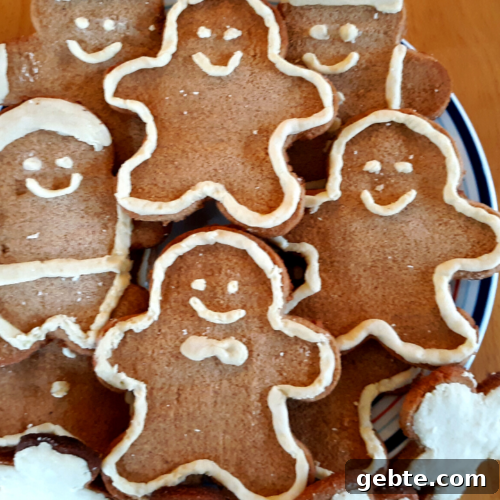 Keto Coconut Flour Gingerbread Cookies