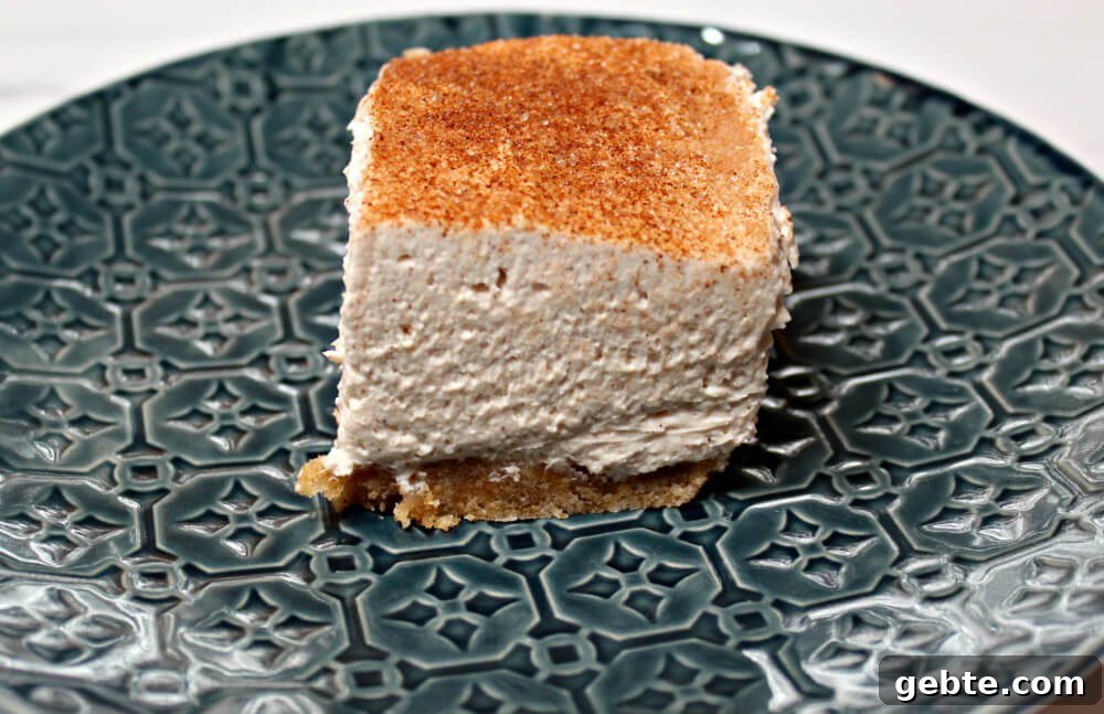 Keto Cinnamon Sugar Cheesecake Bars Recipe 11 Keto Cinnamon Sugar Cheesecake Bars10