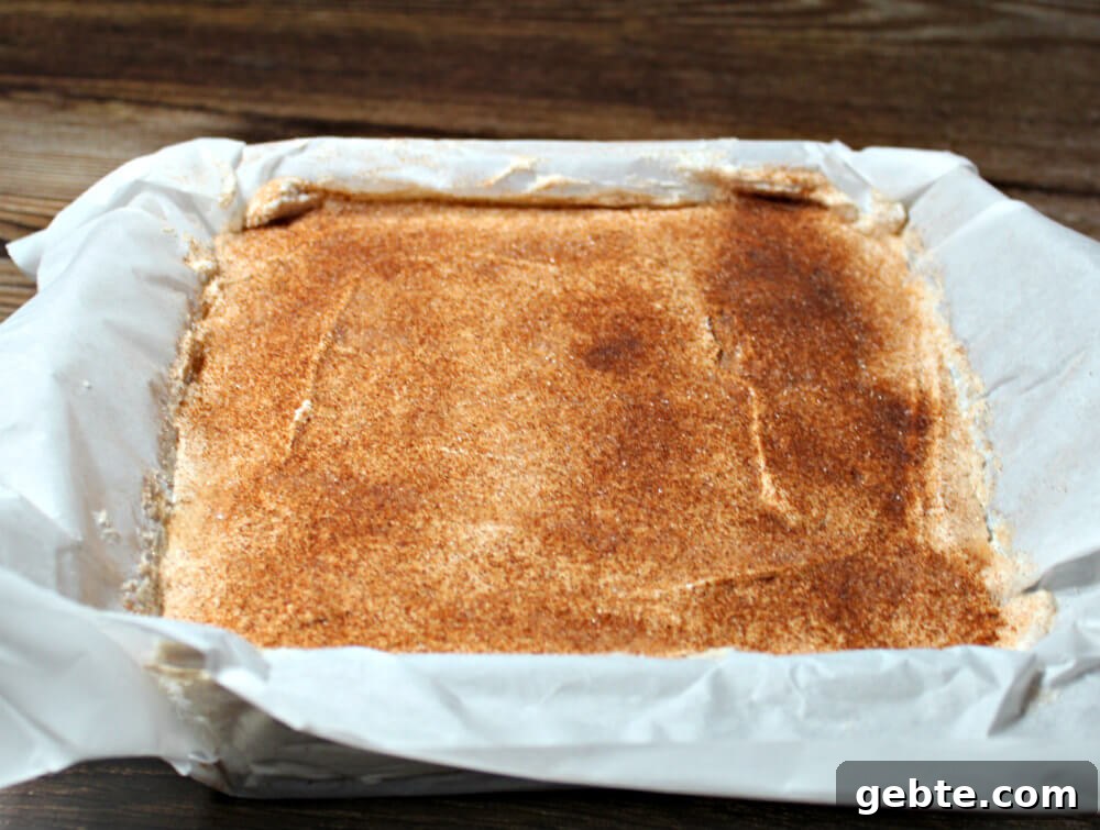 Keto Cinnamon Sugar Cheesecake Bars Recipe 12 Keto Cinnamon Sugar Cheesecake Bars11