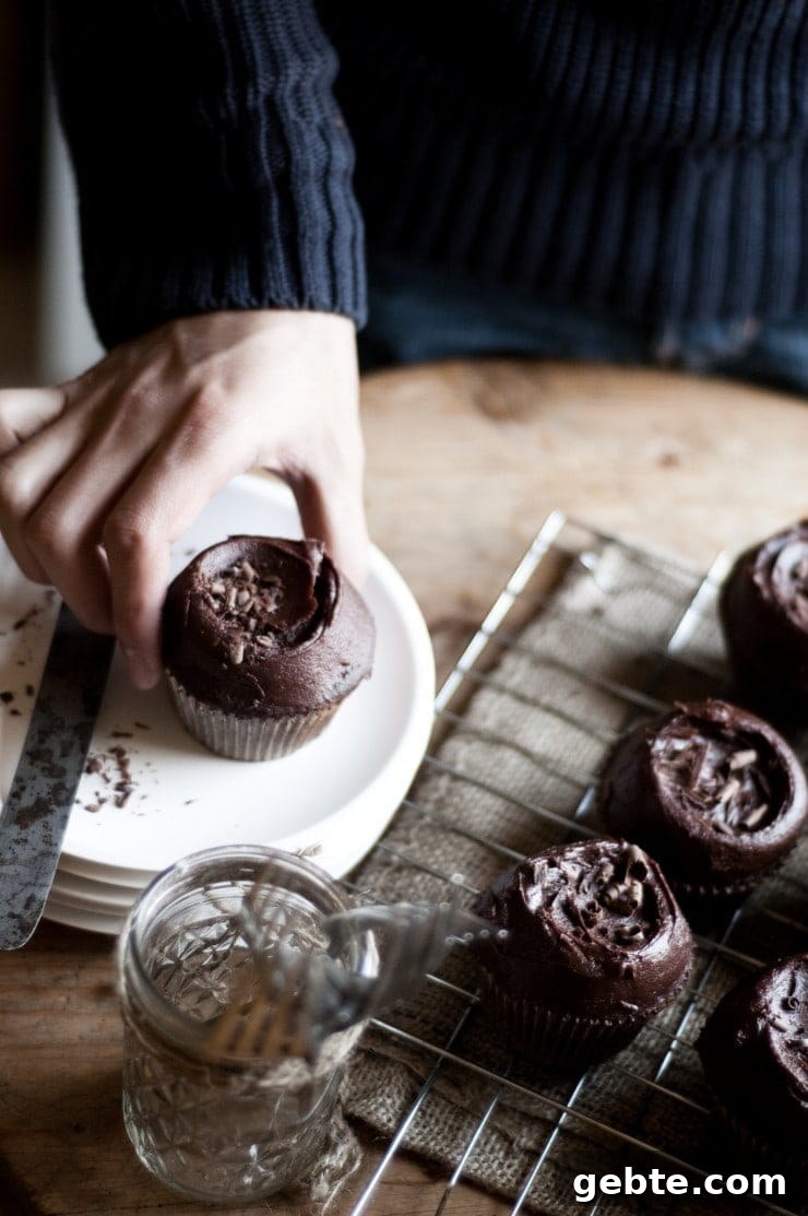 Chocolate Cupcakes With Chocolate Buttercream