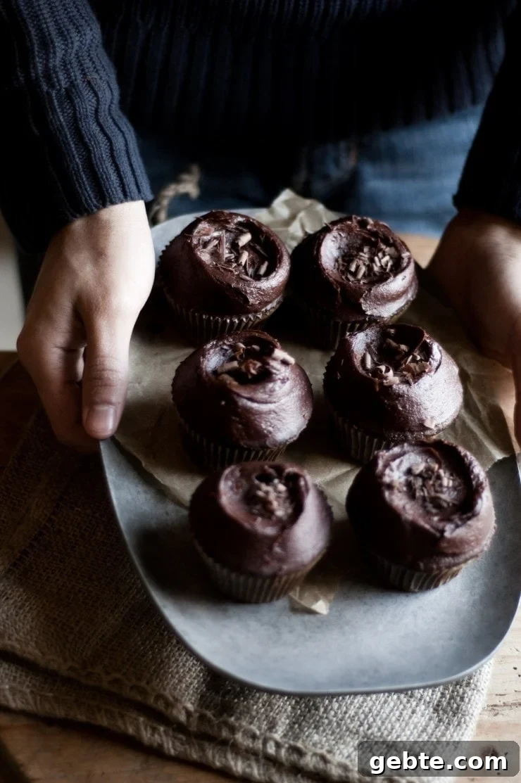 The Best Chocolate Cupcakes with Chocolate Frosting