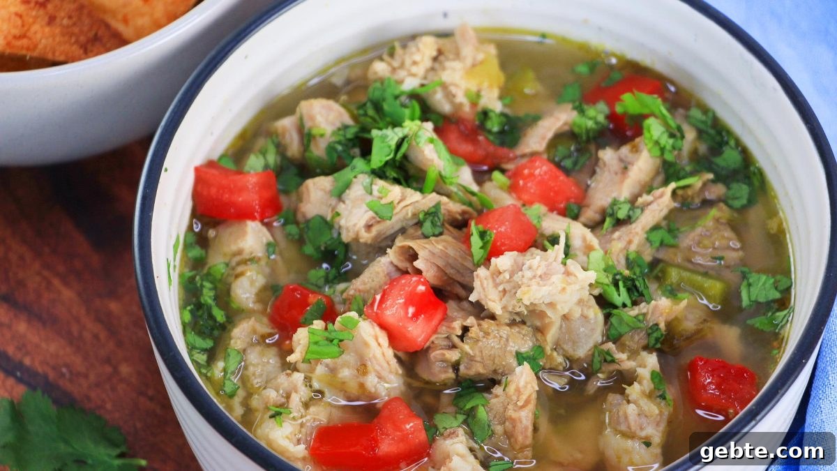 Savory Pulled Pork Green Chile (Chili Verde) Recipe 2 An angled view of a bowl of Green Chile Pork Verde garnished with fresh tomatoes and chopped cilantro - Hostess At Heart
