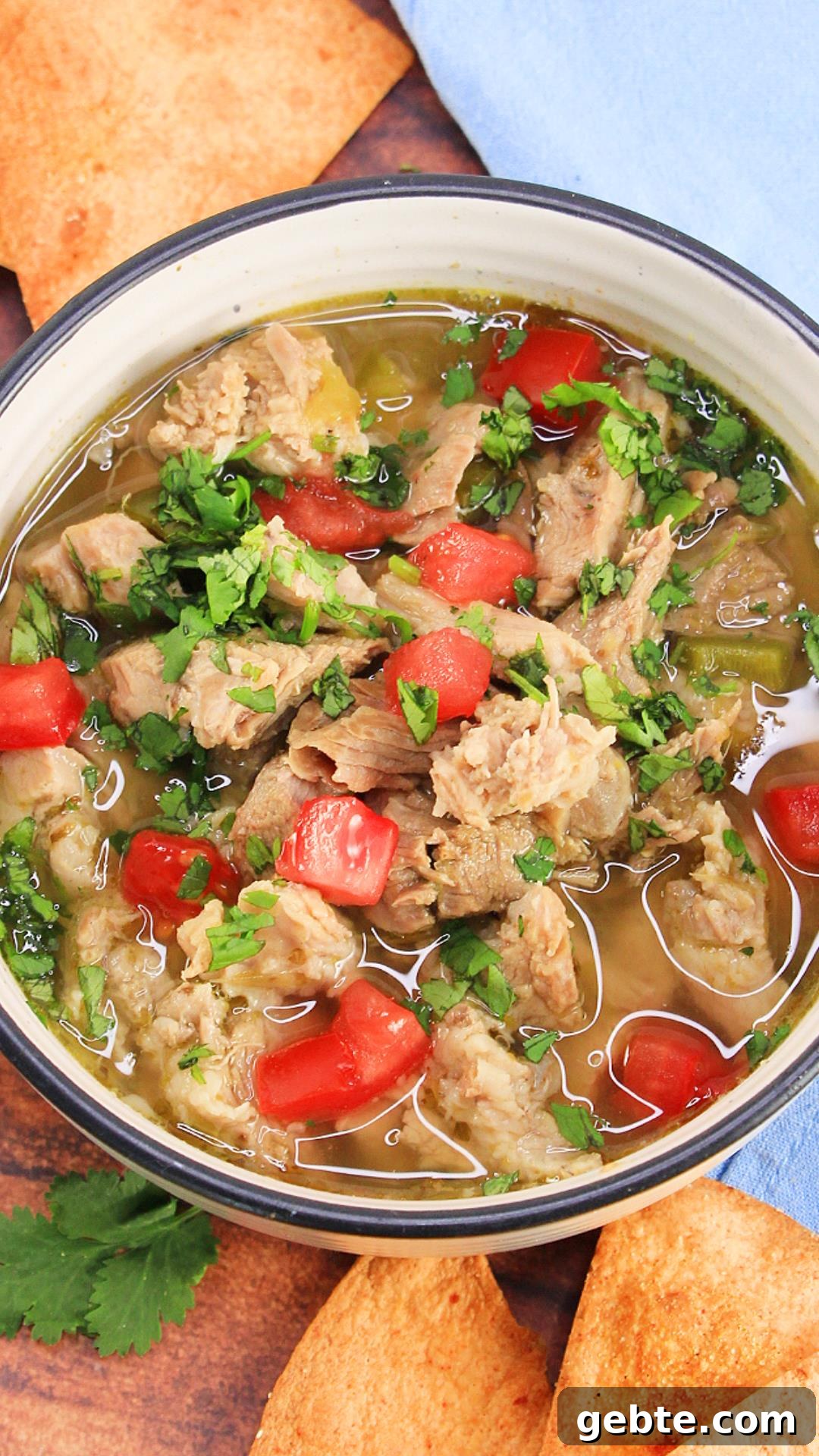 Savory Pulled Pork Green Chile (Chili Verde) Recipe 12 Top down view of a bowl of stew made with pulled pork and green chilies garnished with cilantro and tomatoes.