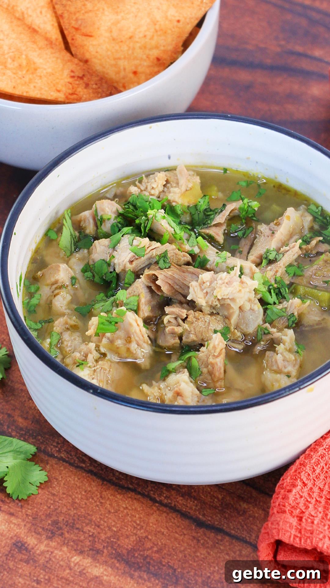 Savory Pulled Pork Green Chile (Chili Verde) Recipe 10 A bowl of pulled pork verde garnished with cilantro - Hostess At Heart