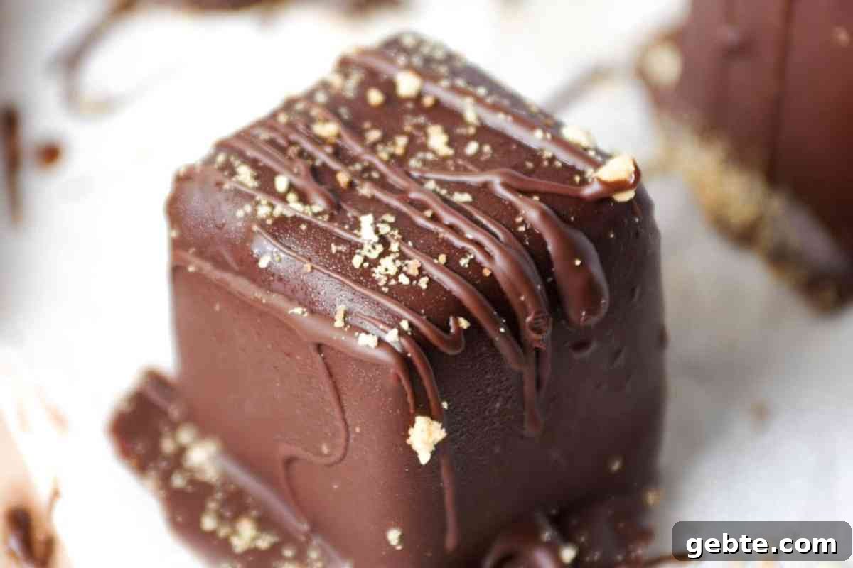 Chocolate Covered Cheesecake Bites msn image.