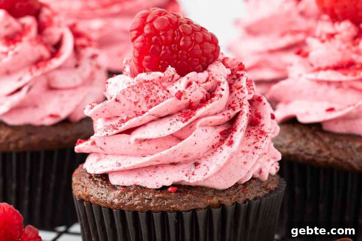Chocolate Raspberry Cupcakes msn image.