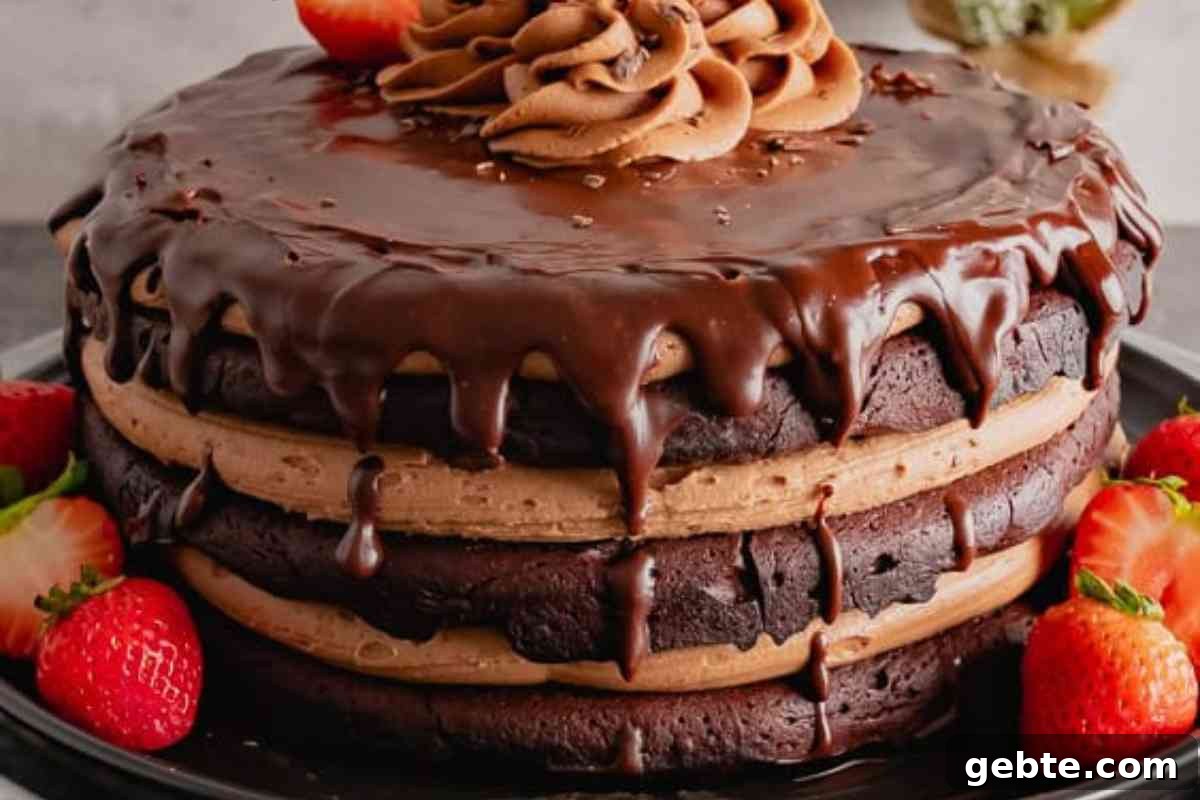 Triple Layer Flourless Chocolate Cake msn image.