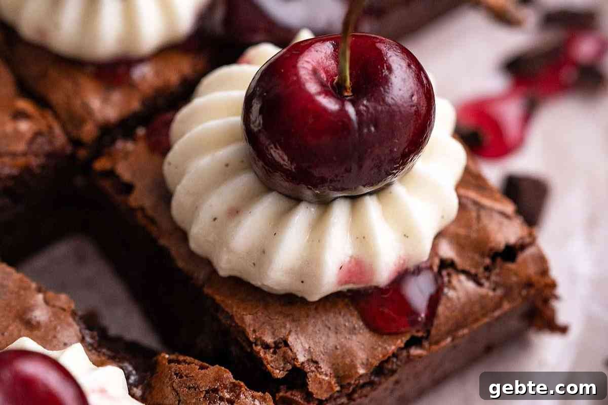 Chocolate Cherry Brownies msn image.