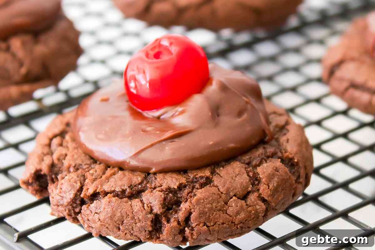 Chocolate Cherry Cookies msn image.