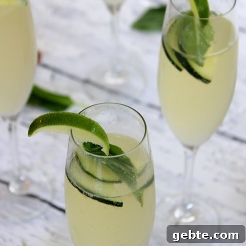 Cucumber Lime Basil Prosecco Spritzer