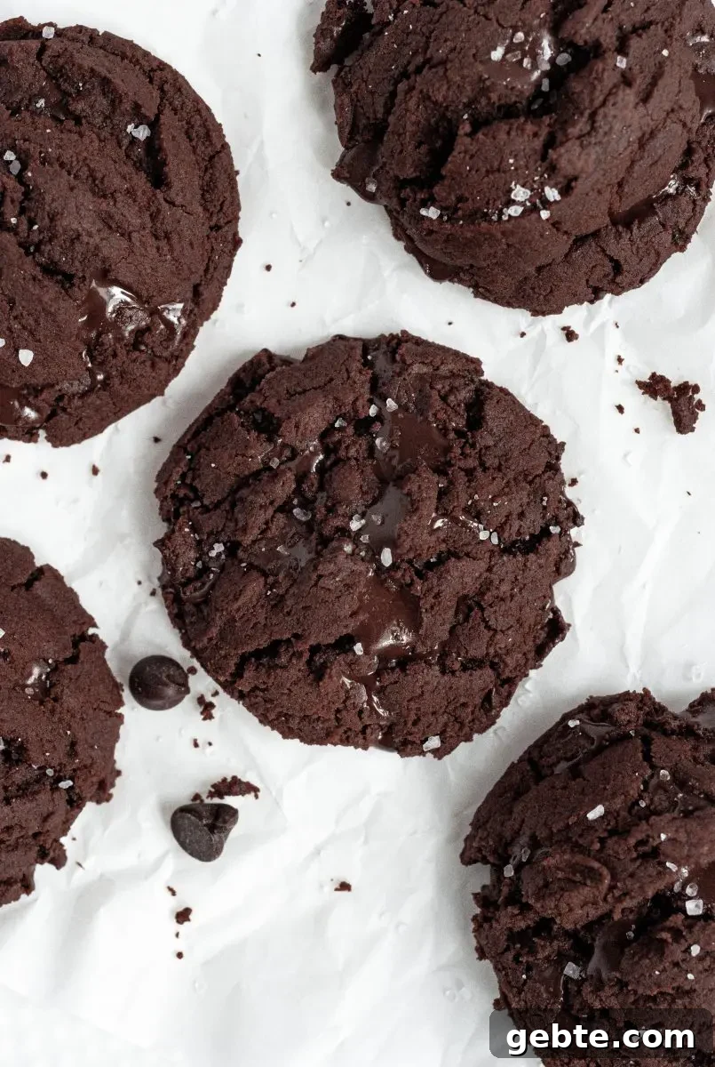 Gluten-Free Vegan Chocolate Mint Cookies Recipe 2 Dark brown, almost black chocolate mint cookies. They have melted chocolate chips in them and are topped with a bit of white coarse sea salt.