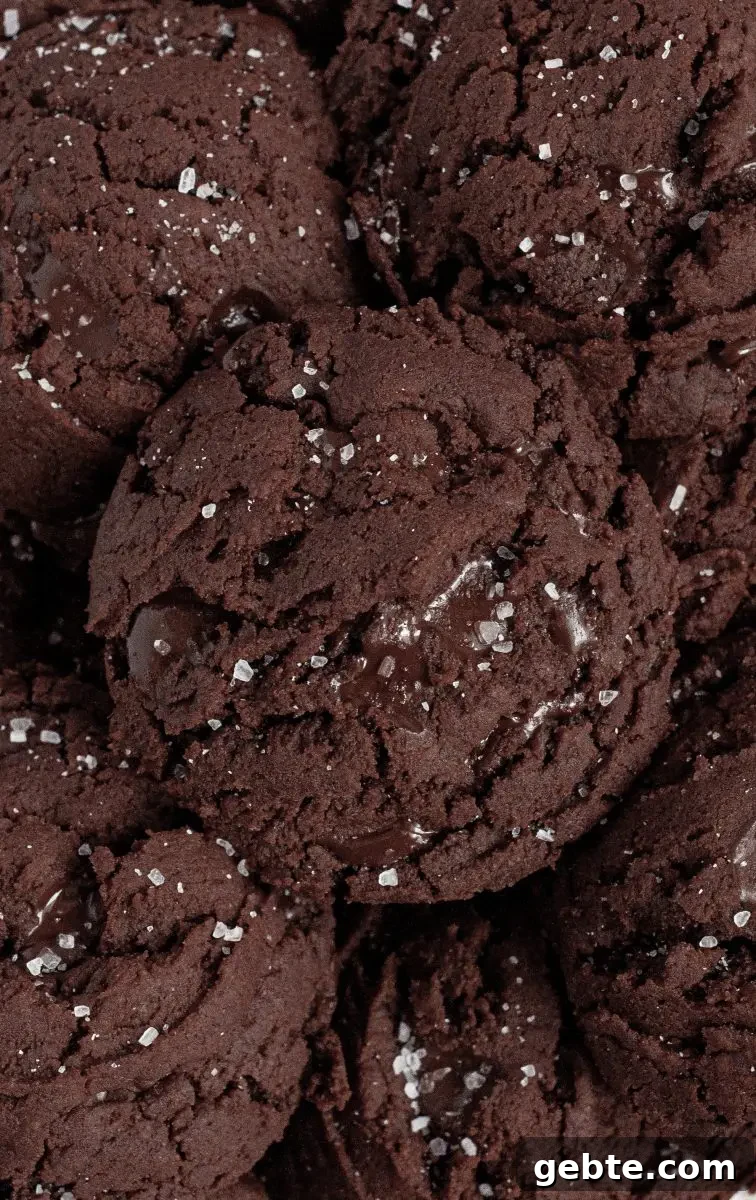 Gluten-Free Vegan Chocolate Mint Cookies Recipe 4 Dark brown, almost black, chocolate mint cookies all stacked in a pile and topped with coarse white sea salt.