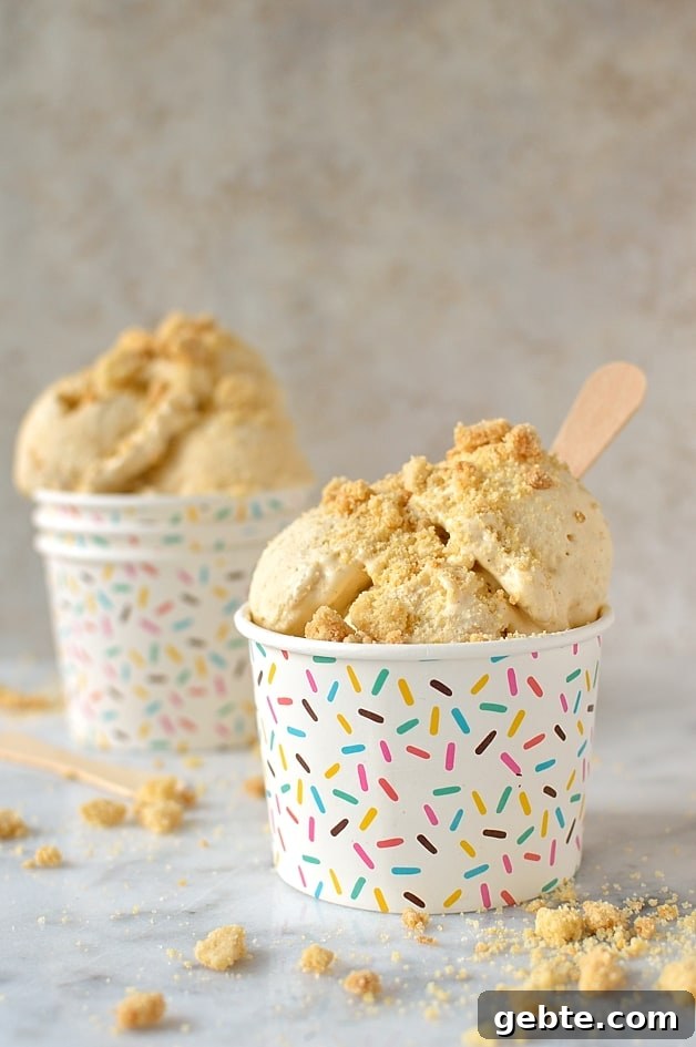 apple crumble ice cream (apple pie ice cream)