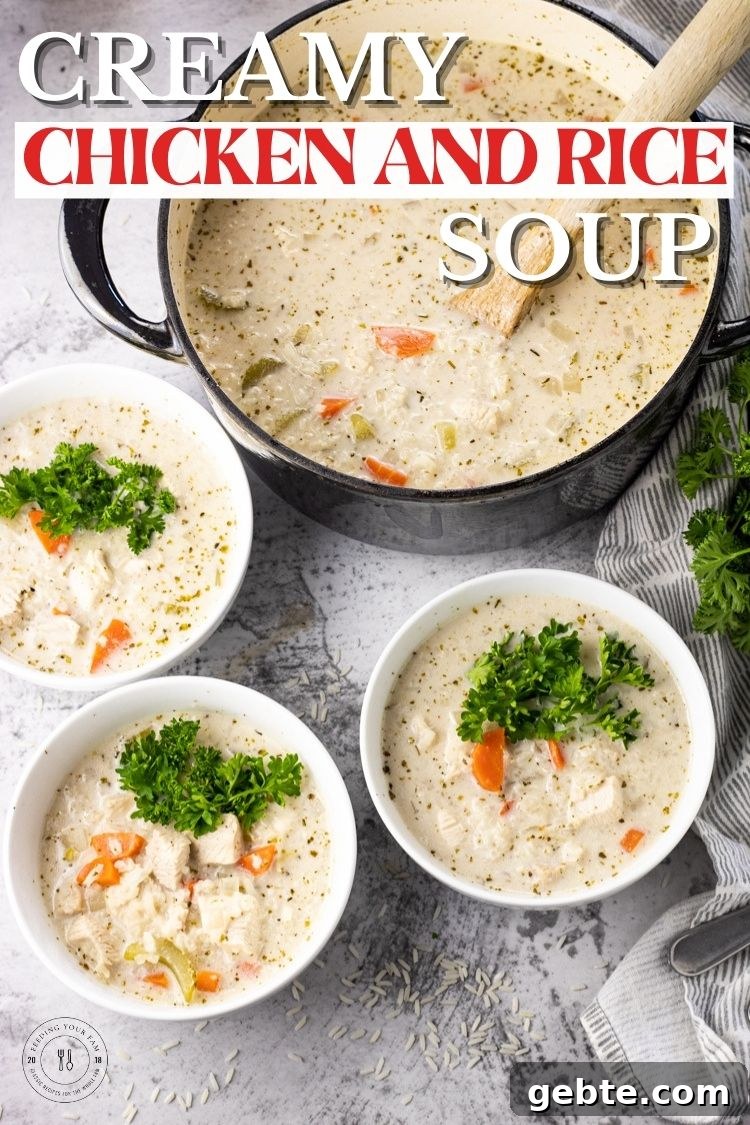 easy chicken and rice soup
