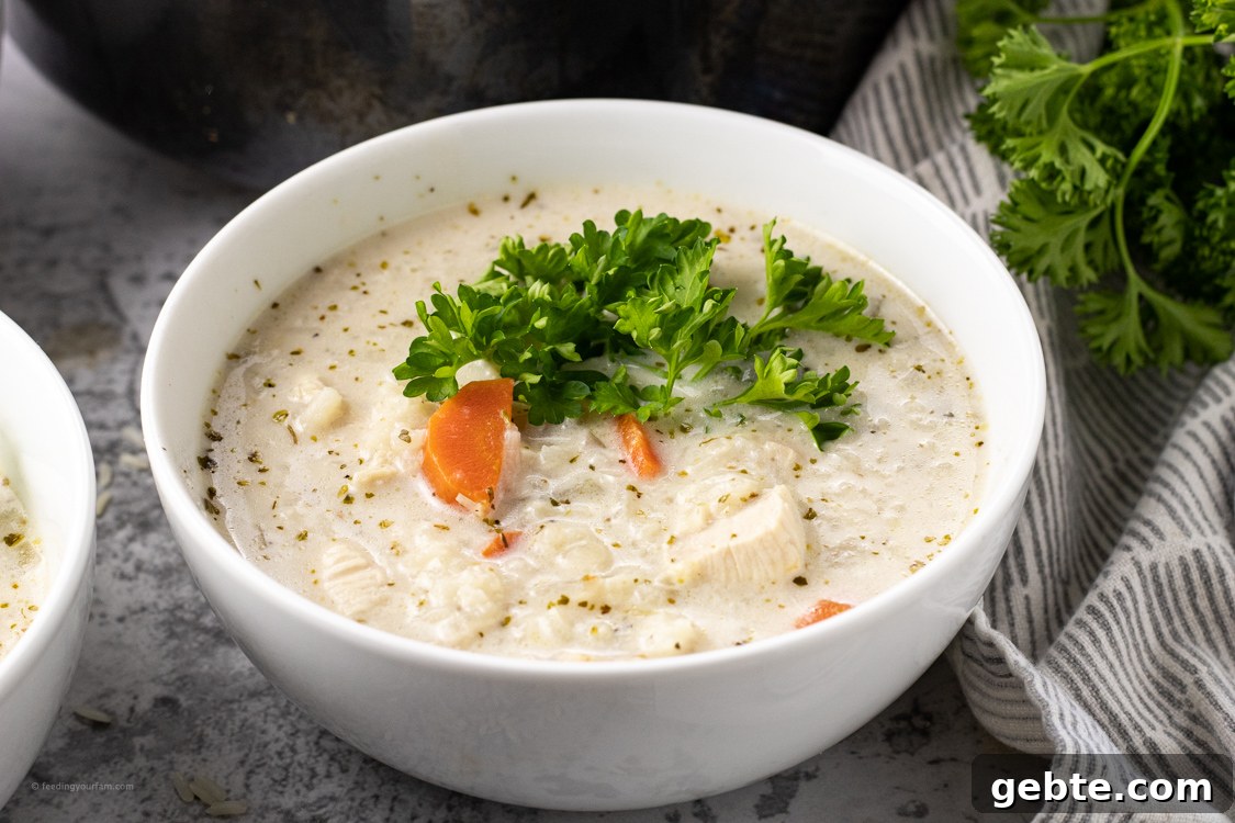 bowl of chicken and rice soup topped with fresh parsley