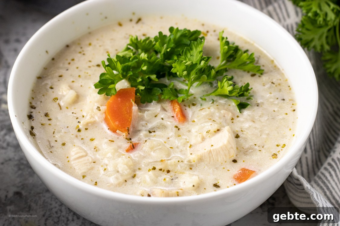 bowl of creamy soup with chicken and rice topped with fresh parsley