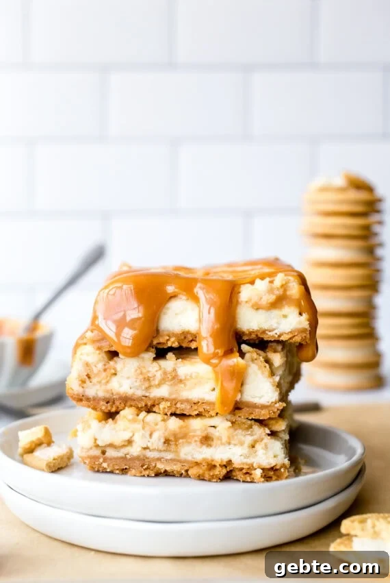 Golden Oreo Cheesecake Bars Recipe — Creamy No-Bake Dessert 5 Caramel on top of oreo cheesecake