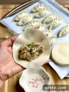 Authentic Korean Mandu Recipe: How to Make Traditional Dumplings 12 img 4615 13