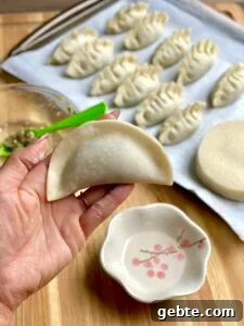 Authentic Korean Mandu Recipe: How to Make Traditional Dumplings 13 img 4615 14