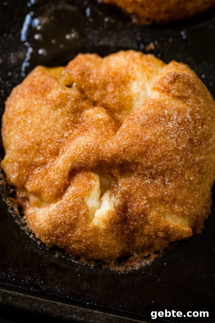 a close up of an apple pie empty tomb roll