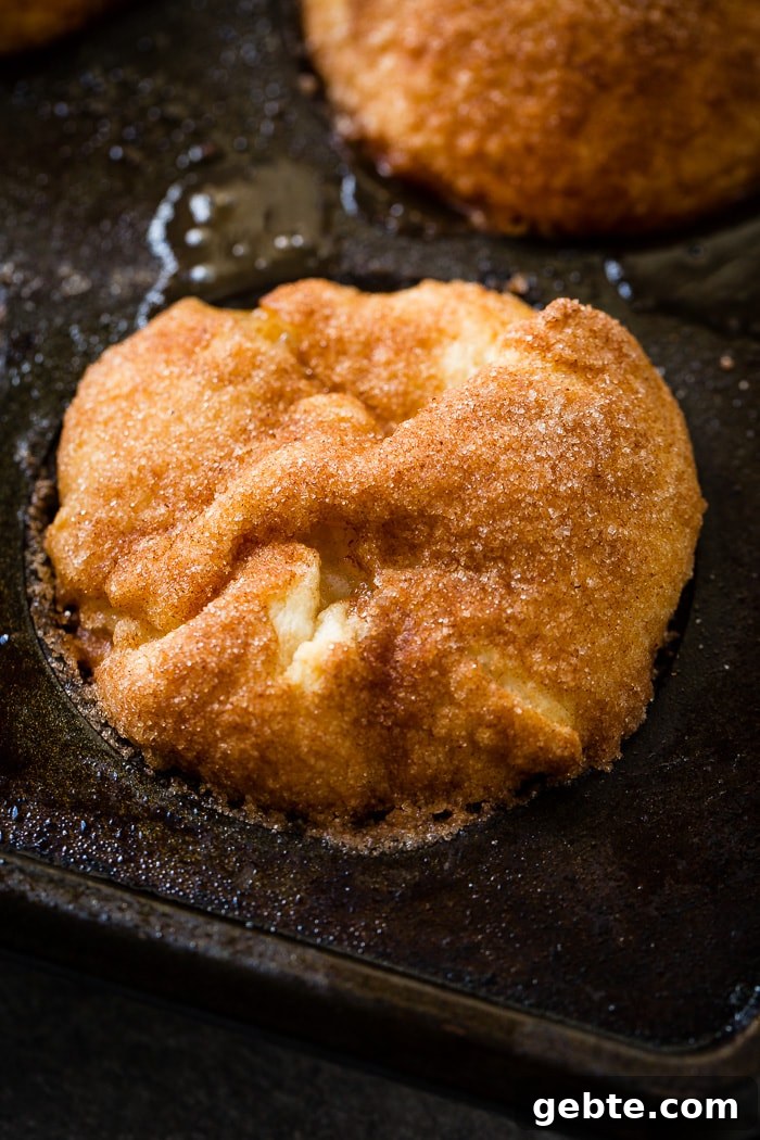 a close up of an apple pie empty tomb roll