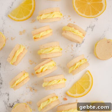 Zesty Lemon Sandwich Cookies Recipe for Homemade Treats 4 lemon sandwich cookies with lemon frosting piped in the middle