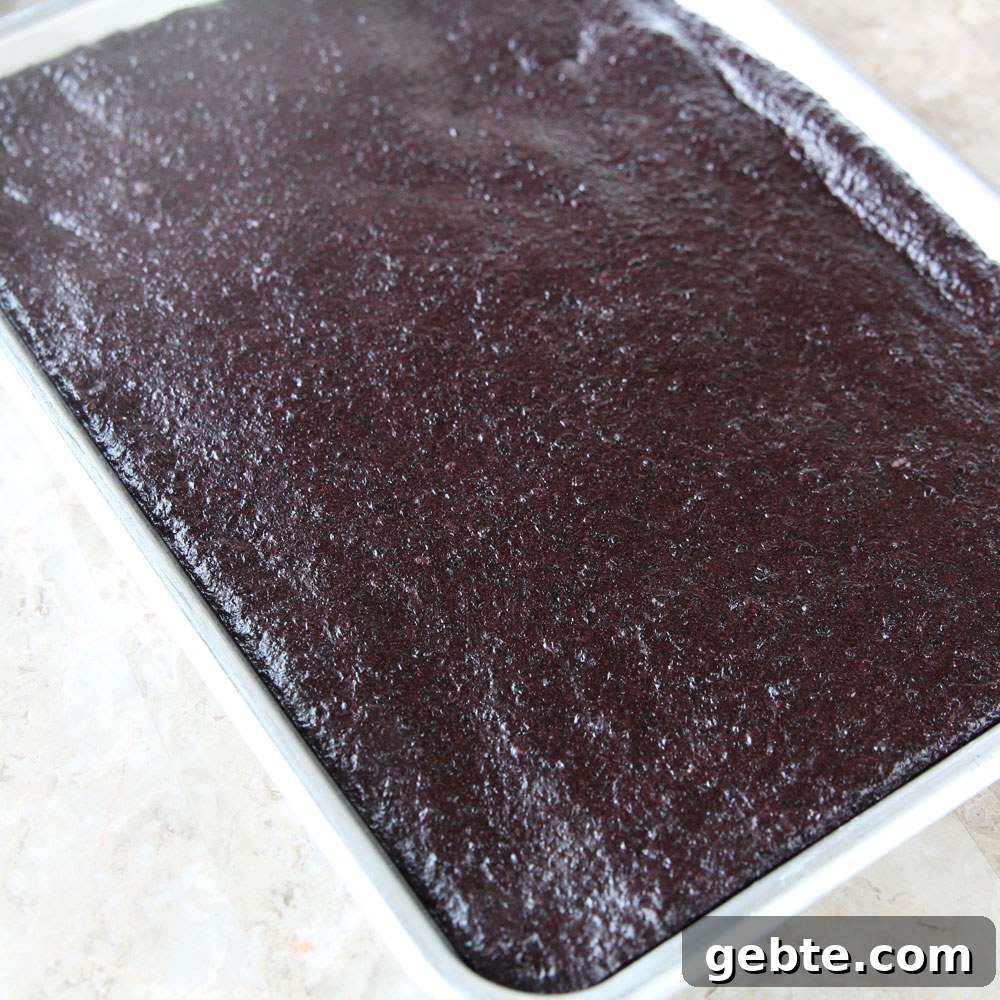 Glutinous Wild Black Rice Mochi (Using a Mochi Maker)