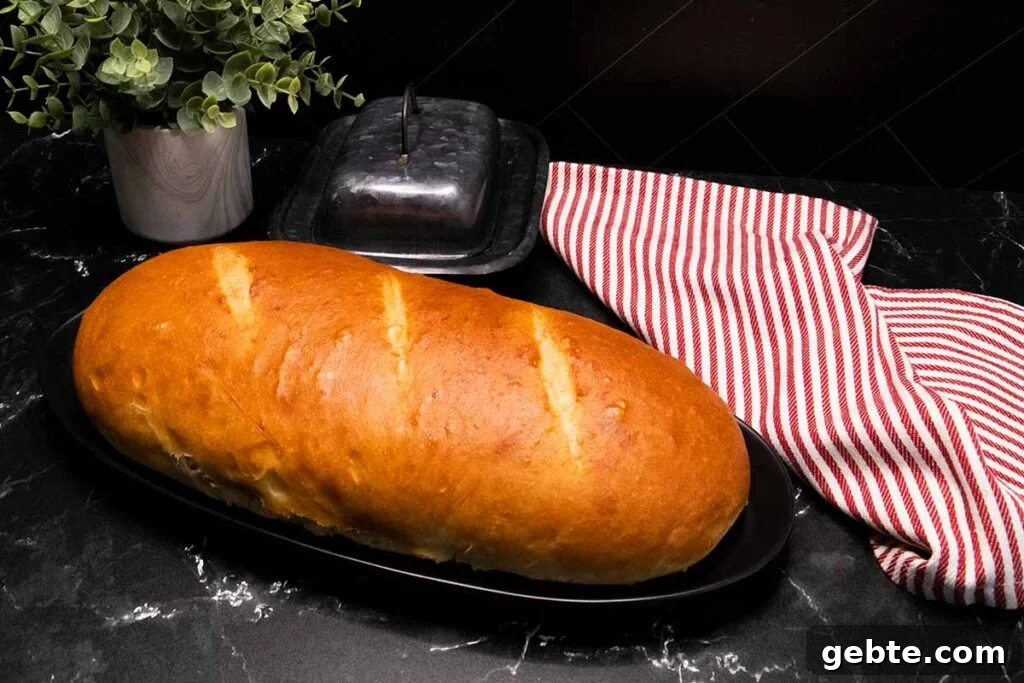 A baked loaf of italian bread