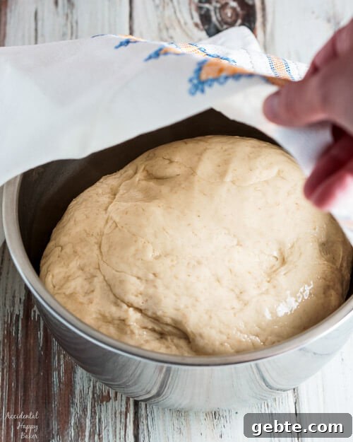 Oatmeal dinner roll dough is placed in an oiled bowl and covered.
