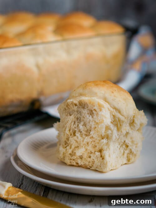 Oatmeal Dinner Rolls