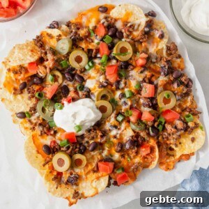 air fryer nachos with taco meat.