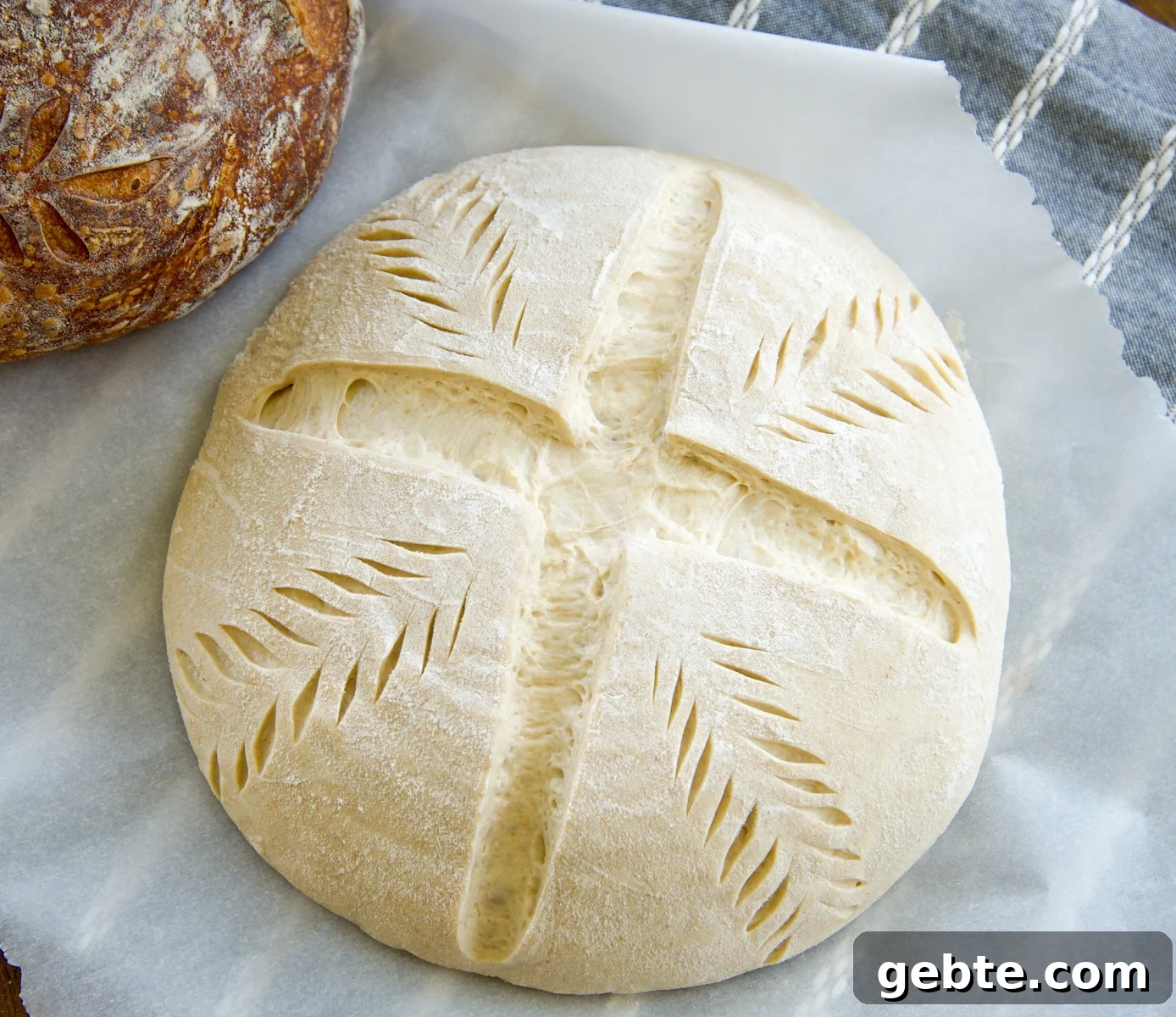 Sourdough Schedule for Beginners: Fit Baking into Your Daily Routine 2 Sourdough bread scored and on a piece of parchment paper.