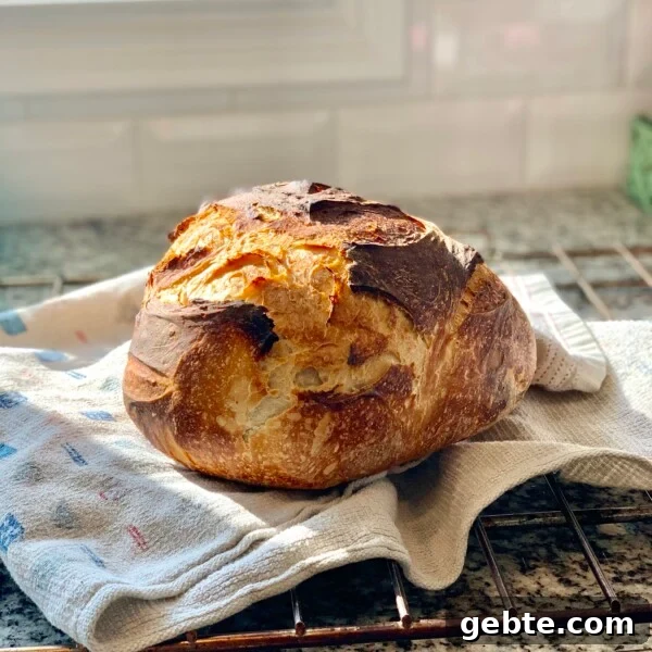 Sourdough Schedule for Beginners: Fit Baking into Your Daily Routine 12 A loaf of beginner sourdough bread sitting on a kitchen towel.