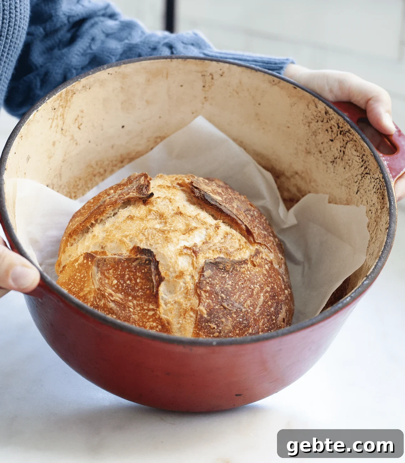 Sourdough Schedule for Beginners: Fit Baking into Your Daily Routine 5 Sourdough bread in a dutch oven on a countertop.
