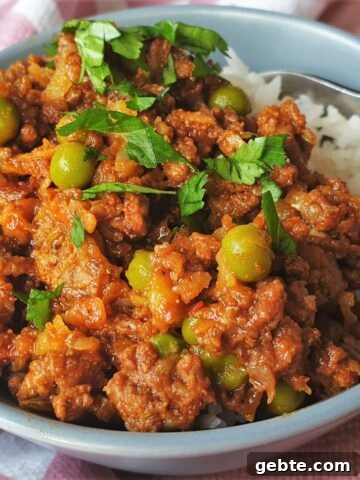 Beef curry and rice in a dish.