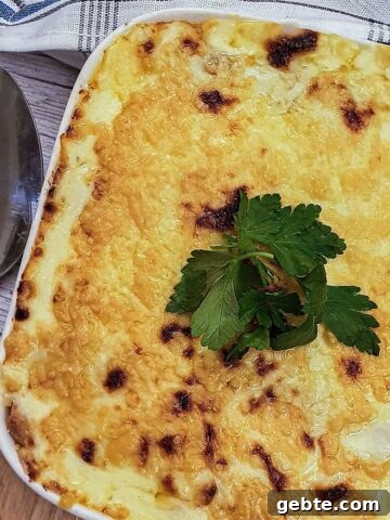 A dish of savoury stuffed pancakes covered with melted cheese.